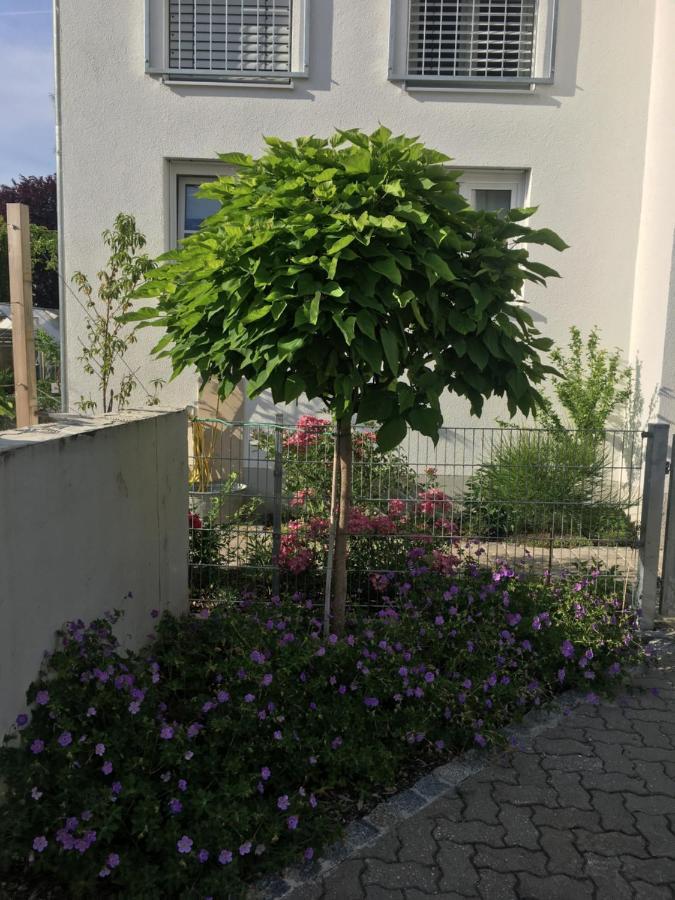 Ferienwohnung Im Herzen Von Kelheim Eksteriør billede